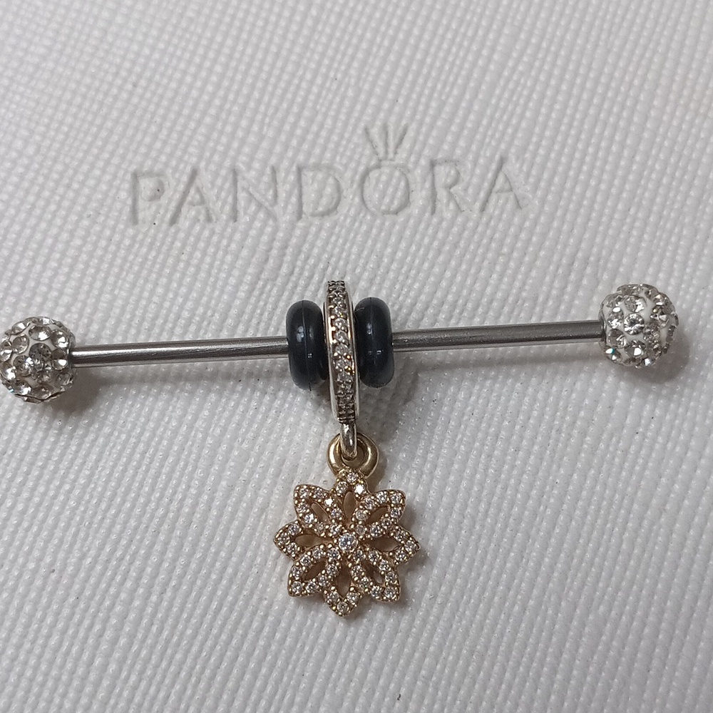 Pandora Silver 14k Clear CZ Lace Botanique Dangle Charm/Pendant